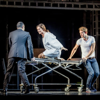 Fast Normal (2013) - Ramin Dustdar, Pia Douwes, Dirk Johnston - (c)Thomas Langer
